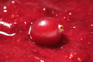 Preserves made with sugar and red cranberries. Single red berry of ripe cranberries. Shallow depth of field © VLAD ANTONOV