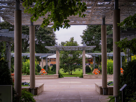 Modern outdoor garden pergola courtyard with concrete pillars metal trellis decor and pumpkins in fall