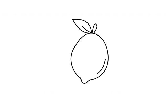 lemon line art