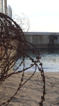 Coils of rusty barbed wire beside a concrete coastal wall
