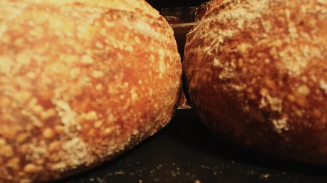 Oven baked wheat bread with crisp crust filling air with aroma of tradition in bakery closeup. Each crackle tells story of care and dedication