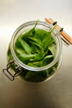 Fresh basil leaves in an open glass jar