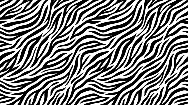 Black White Zebra Stripes Seamless Monochrome Animal Print Vector Texture