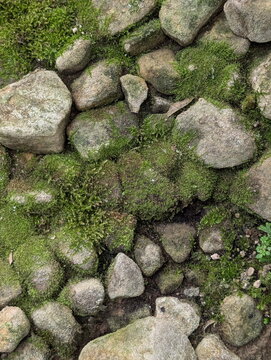 Mossy Rocks Textured Surface, Vy&Aring;&iexcl;ehrad, Prague