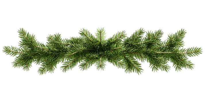 Green pine branches christmas garland horizontal border isolated on transparent background