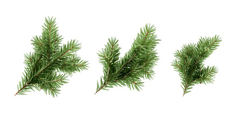 Obraz na płótnie Canvas Green christmas fir tree branches set isolated on transparent background