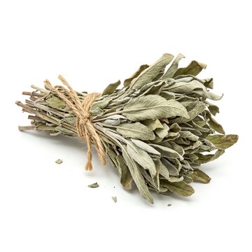 Bundle of Dried Sage Leaves Tied with Twine