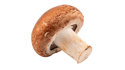 Single organic fresh brown champignon mushroom with detailed cap and stem texture isolated on transparent background. © Jasper
