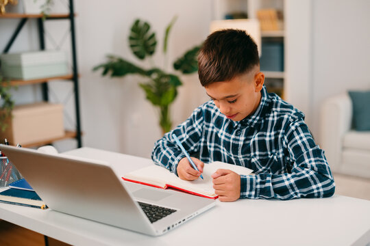 Boy studying home e-learning with laptop and notebook