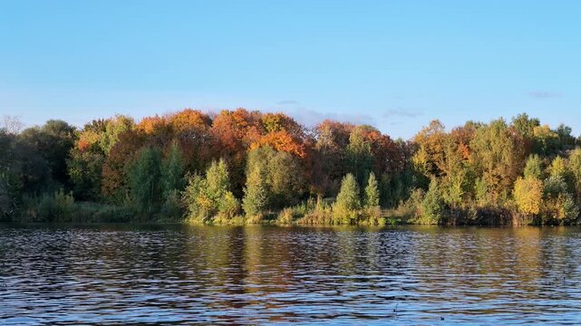 Colorful autumn trees on the shore reflect in a rippling lake under blue sky.