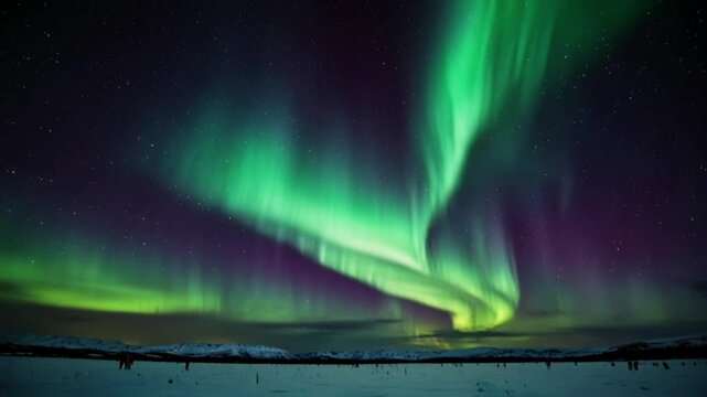Brilliant, vibrant green and purple light displays dance across a star-studded night sky, creating a magical and peaceful atmosphere above the expanse of white snow.