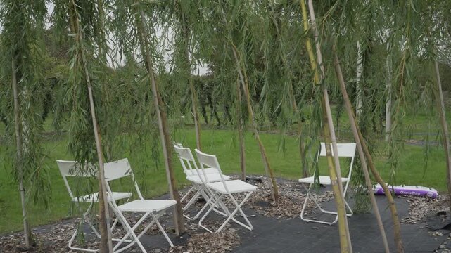 White chairs stand beneath a living arbor of weeping golden willow branches in a garden landscape. Cascading green foliage surrounds the quiet seating space arranged on woodchip ground cover.