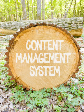 Content management system symbol. Concept words Content management system on beautiful wooden circle. Beautiful green forest background. Business content management system concept. Copy space.