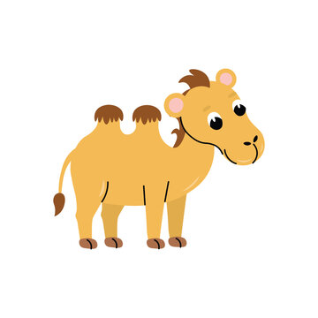 Cute cartoon camel for children, isolated on a white background.