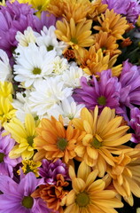 Beautiful colorful bouquet of chrysanthemums © Siegi