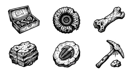 Archeological fossils and excavation tools are depicted in a monochrome detailed engraving illustration style. © Indah