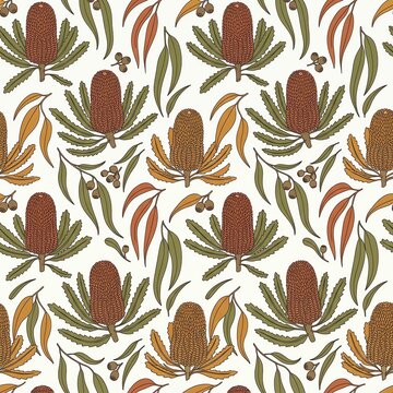 Seamless repeating pattern of banksia flowers and eucalyptus leaves in a botanical illustration style on a white background
