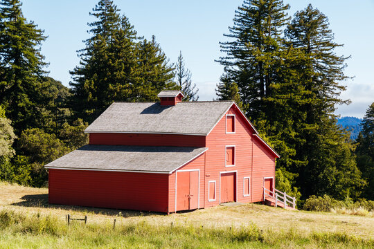 Historic red wooden barn standing in grassy clearing surrounded by tall evergreen redwood trees