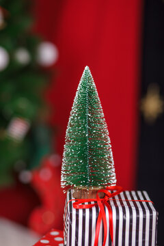 Miniature snowy Christmas tree on gift box. Holiday decoration and greeting concept