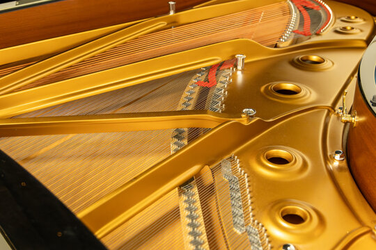 Close up view on strings inside grand piano. Piano strings