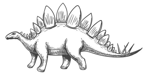 Stegosaurus engraving. Jurassic dinosaur animal drawing icon © vectortatu