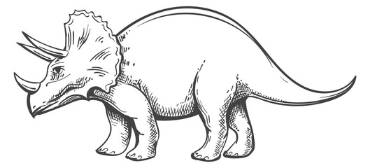Triceratops drawing. Dinosaur icon. Ancient wild animal © vectortatu