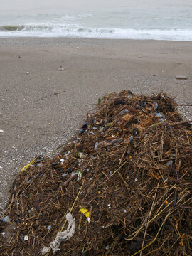 Seaweed and debris accumulated on the beach after a severe storm