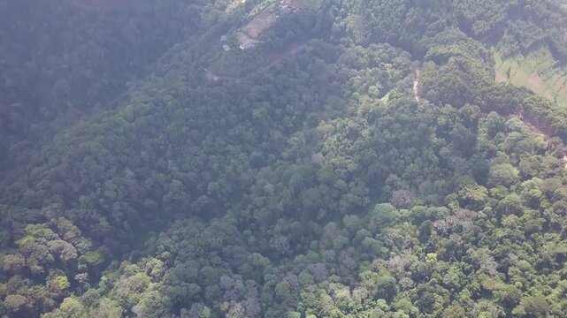 Near top down over dense forest and a red dirt road, then a hillside settlement with cleared plots and houses and farmland on far ridges in haze at the Bwindi edge, Uganda, drone overhead forward
