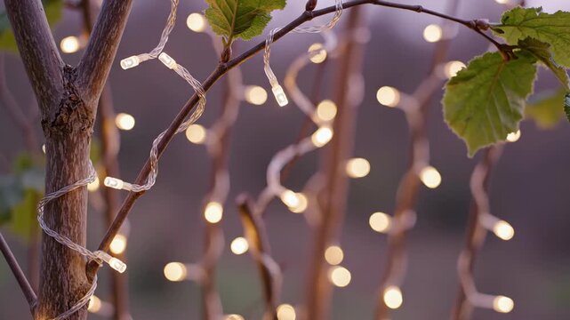 Delicate warm white micro lights twist around a slender tree trunk and arching leafy twig, while hanging strands dissolve into creamy floating circles against a mauve woodland backdrop at quiet dusk