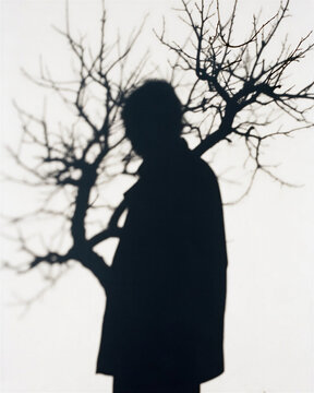 Stark black silhouette of a person standing behind a bare branching tree, depicting the stark poetic essence of human and autumn solitude.
