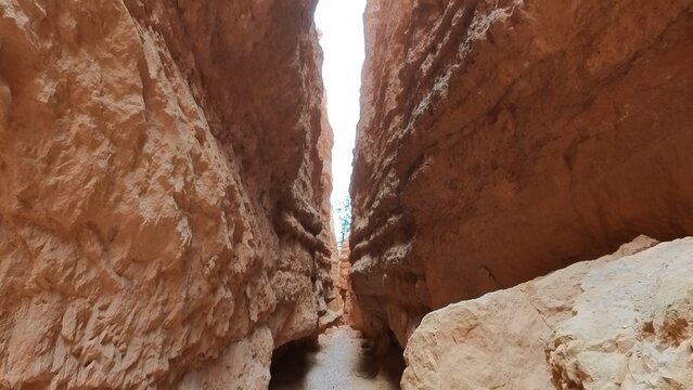 View of the narrow slot canyon passage between towering orange hoodoos at Bryce Canyon, featuring textured sedimentary rock walls and a sandy trail in Utah, United States.