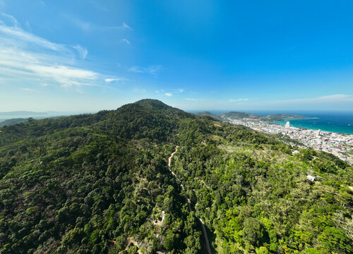 Top view forest green nature background