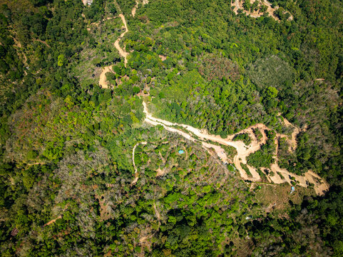 Deforestation aerial photo,Forest destroyed environmental damage from deforestation and land erosion in rural areas,Deforestation environmental destruction,Rainforest destroyed for human development