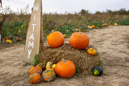 Pumpkin farm entrance with welcome sign and pumpkins on hay bale