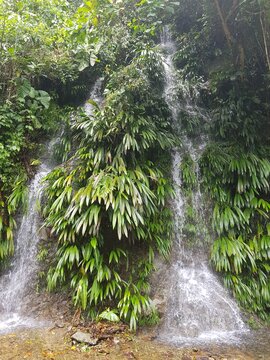 Naturaleza: mar, selva, vida, color