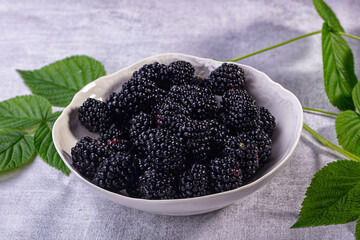 Fresh blackberries in white ceramic bowl with green leaves on gray textured background © Andrei Starostin