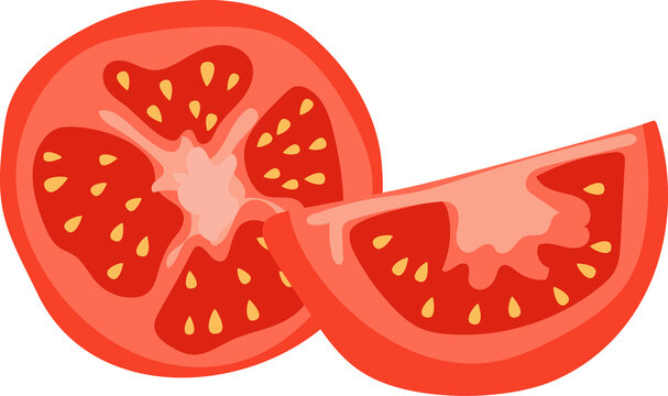 Sliced Tomato Vector Illustration