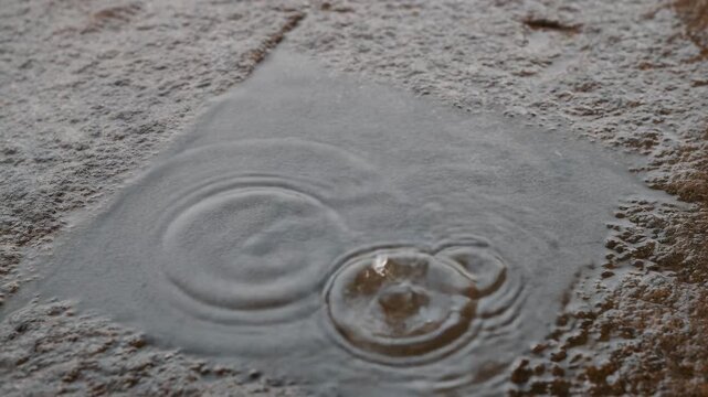 Raindrops strike a shallow puddle on muddy ground, forming overlapping circular ripples and splashes. Weather programming, nature documentaries, and environmental education.