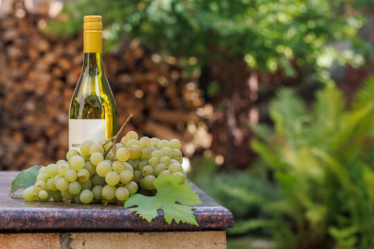 White Wine and Grapes Against Garden Greenery and Logs