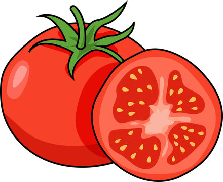 Whole and Sliced Tomato Vector