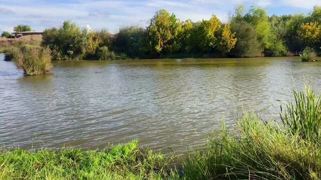 Rio Guadiana con reflejos de sol y vegetaci&oacute;n espesa
