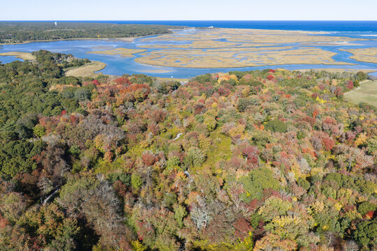 Colorful autumn foliage is found in a coastal forest on Cape Cod, Massachusetts. This scenic destination is on the outer part of Cape Cod, not far from the Atlantic Ocean.