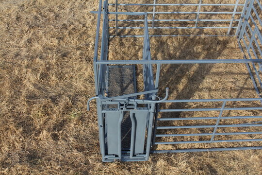 Top down view of a cattle headgate and alley with mesh floor