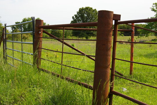 Rusty steel pipe gate and posts in a lush green pasture