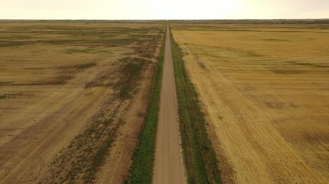 Aerial view of rural dirt road dividing harvested fields