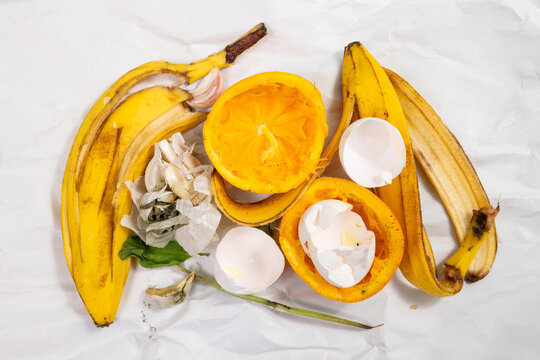 Organic food waste, compost of scraps and peelings of fruits, eggshells and vegetables, zero garbage, garlic, banana, orange fruit leftovers, recycling and envirionment concept