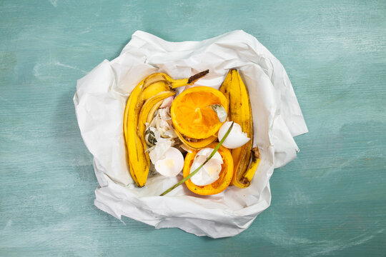 Organic food waste, compost of scraps and peelings of fruits, eggshells and vegetables, zero garbage, garlic, banana, orange fruit leftovers, recycling and envirionment concept