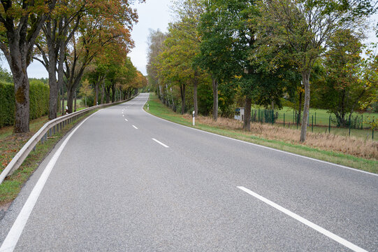 Road through forest in autumn, colorful foliage leaves, deciduous trees, landscape, fall season in Germany