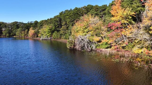 Colorful autumn foliage is found fringing Pilgrim Lake in Orleans, Massachusetts. This scenic destination is on the outer part of Cape Cod, not far from the Atlantic Ocean.