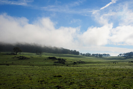 Low cloud drifts across the green field partially veiling the distant hills